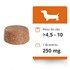 Bravecto 4,5 a 10kg: Comprimido Antipulgas e Carrapatos Para Cachorro