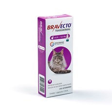 Bravecto Antipulgas Transdermal Para Gatos De 6,25 A 12,5kg