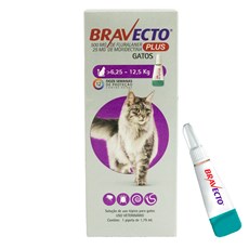 Bravecto Plus Antipulgas e Carrapatos Gatos 6,25 a 12,5kg