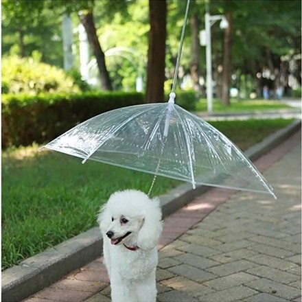 Guarda-Chuva para Cachorro Transparente - The Pets Brasil