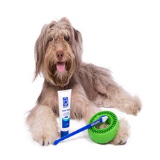 Kit Dental Para Cães Buddy Toys