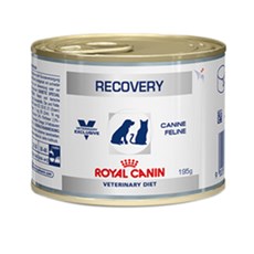 Ração Royal Canin Cães Recovery Lata - 195g
