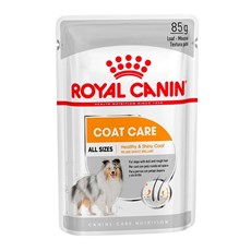 Ração Úmida Royal Canin Cães Adultos Coat Care Sachê – 85g