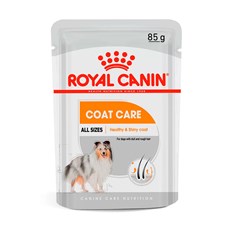 Ração Úmida Royal Canin Cães Adultos Coat Care Sachê – 85g