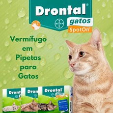 Vermífugo Drontal Spot On Gatos De 2,5kg A 5kg